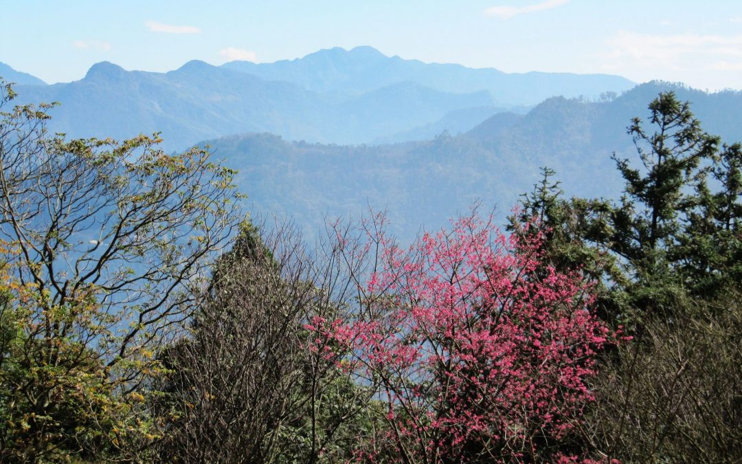 司馬庫斯-隱世部落探尋之旅