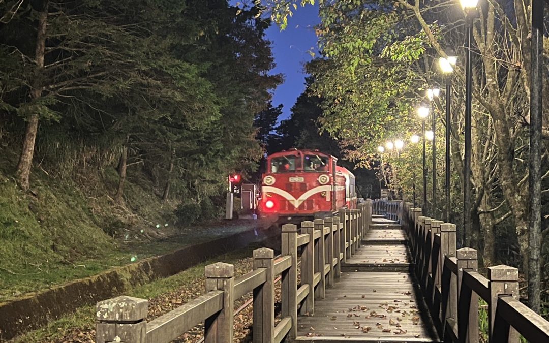 阿里山療癒之旅｜TIPAA冬季會員活動回顧